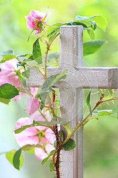 Wild Rose Entwined Around a Cross