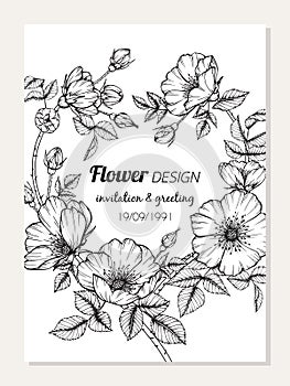 Wild rose flower and leaves  frame drawing illustration for invitation and greeting card design.