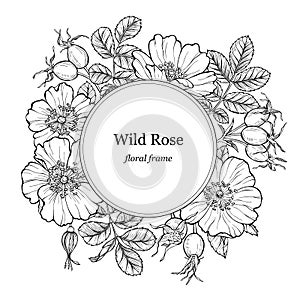 Wild rose flowers and berries round frame. Line art drawing. Outline vector floral border, rosehip background photo