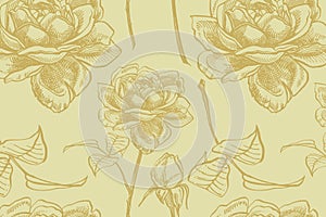 Wild rose flowers drawing and sketch illustrations. Decorative floral set for fabric, textile, wrapping paper, card
