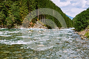 Wild running river in norway