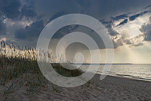 Wild sandy beach against scenic stormy clouds