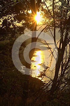 Wild seashore sunlight