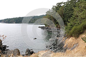 The wild shore of a mysterious lake.jpg