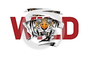 Wild slogan ripped off with tiger photo
