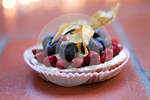 Wild stawberries on a little tarte