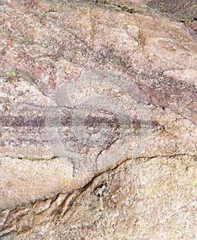 Wild stone background. Beauty is in nature