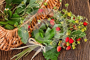 Wild Strawberies basket