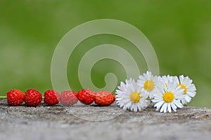 Wild strawberries