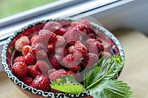 Wild strawberries in a beautiful vintage plate. Rural still life. Natural organic food production. Heap of summer red berries.