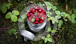 Wild strawberries in a mug in forest background