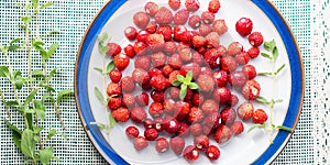 Wild strawberries on a plate. Banner