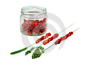 Wild strawberries in pot string on bent isolated