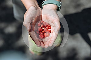 Wild strawberries and raspberry in kids hand, close-up. Healthy