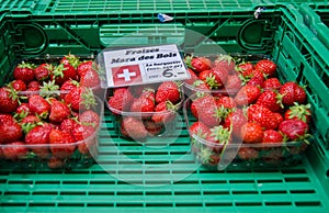 Wild strawberries for sale at local street market. Lausanne. Switzerland. (Fraises des bois mean - Wild strawberries)