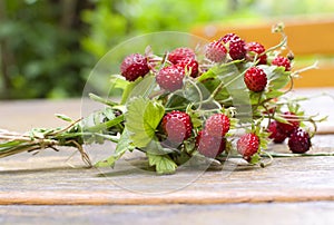 Wild strawberries