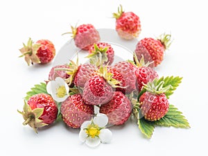 Wild strawberries on the white background.