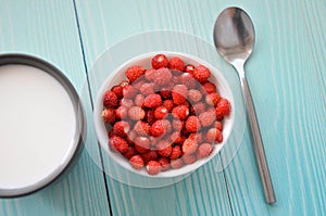 Wild strawberries in white bowl, milk in cup and silver spoon on blue wooden background, Top view. space for text. Delicious