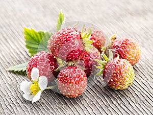 Wild strawberries on the wooden background