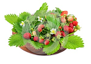 Wild strawberries in wooden bowl on white