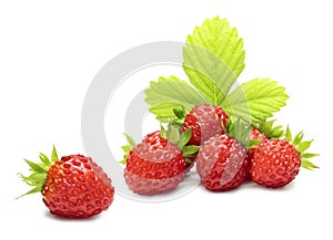 Wild strawberry