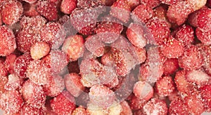 Wild strawberry background