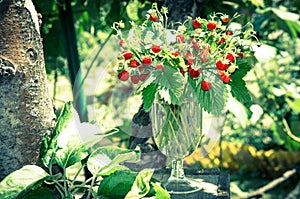 Wild strawberry bouquet