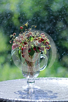 Wild strawberry bouquet in glass over green bokeh background