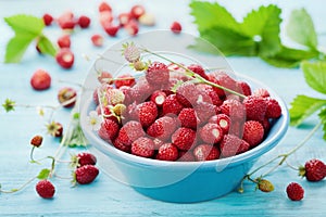 Wild strawberry in bowl on rustic table, vintage style, sweet berry for summer dessert, Fragaria