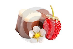 Wild strawberry with chocolate isolated