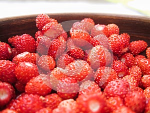 Wild strawberry in an earthenware basin