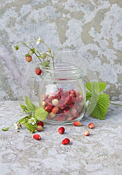 Wild strawberry in the glass