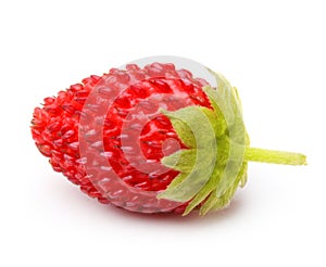 Wild strawberry macro