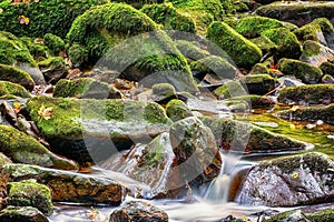 Wild stream in a stream bed
