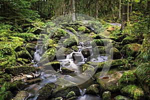 Wild stream in a stream bed