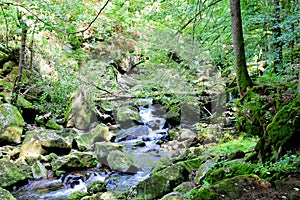 Wild stream in the landscape of the bavarian forest