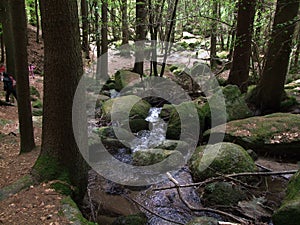 Wild stream in the landscape of the bavarian forest europe germany