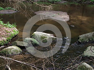 Wild stream in the landscape of the bavarian forest europe germany