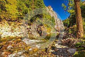 Wild stream through mountainous landscape with rocky gorge on a