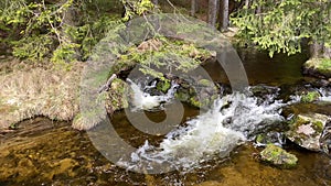 Wild stream in the reserve. Spring. 4K