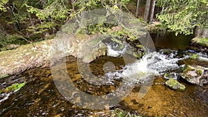 Wild stream in the reserve. Spring. 4K