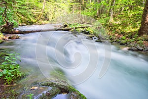 Wild stream of Vajskovsky potok creek