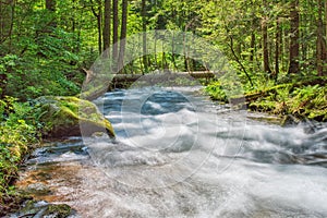 Wild stream of Vajskovsky potok creek