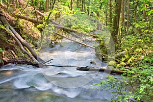 Wild stream of Vajskovsky potok creek