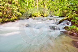 Wild stream of Vajskovsky potok creek