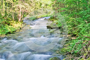 Wild stream of Vajskovsky potok creek