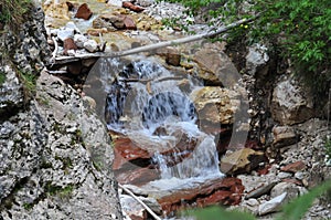 Wild strem in the mountains photo