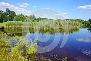 Wild swimming pool, small lake - beautiful spring day- green space around the city