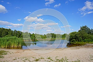 Wild swimming pool, small lake - beautiful spring day- green space around the city