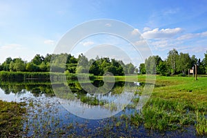 Wild swimming pool, small lake - beautiful spring day- green space around the city